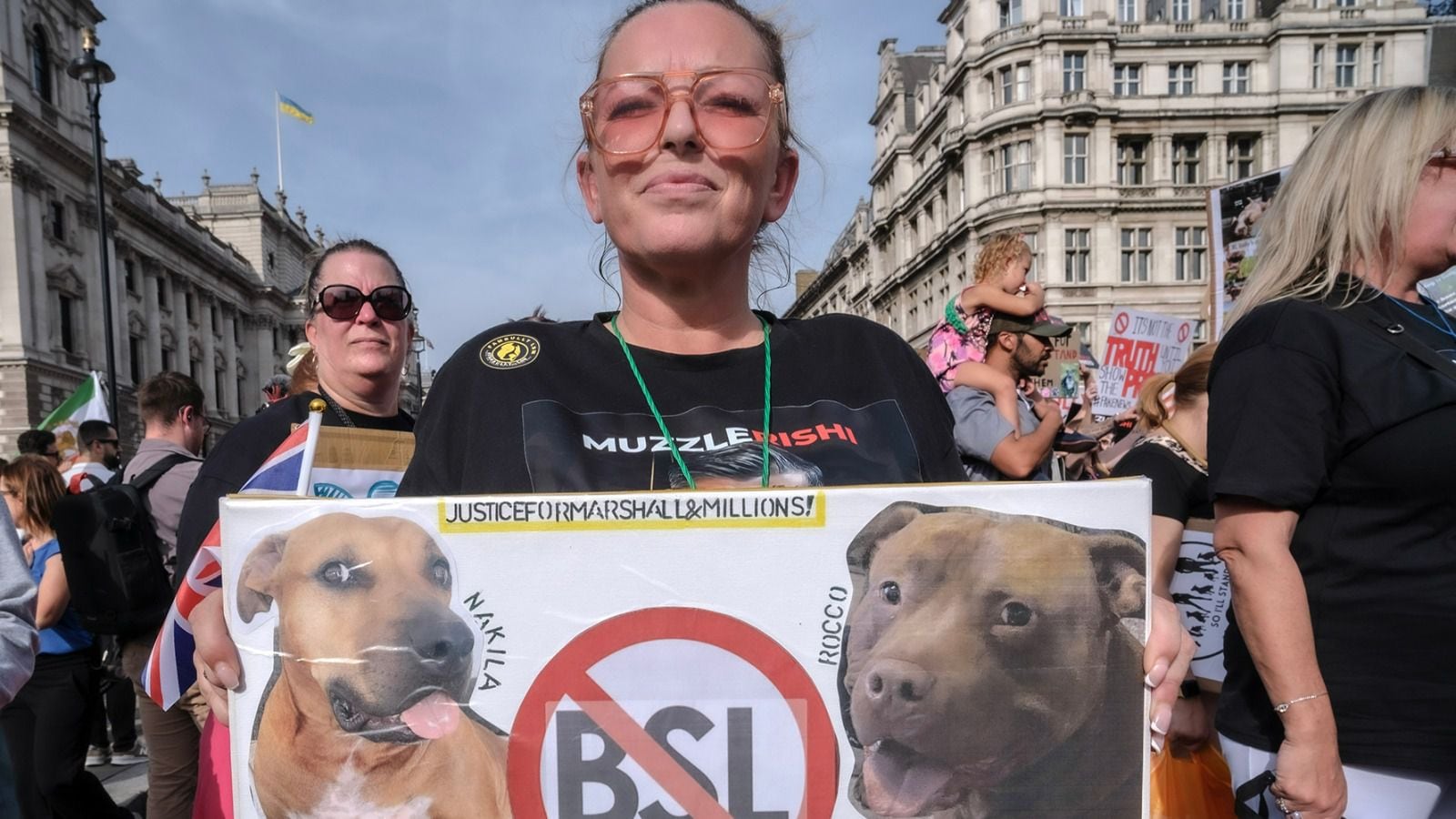 Perros XL Bully en Reino Unido: ¿Por qué está prohibido tener uno?