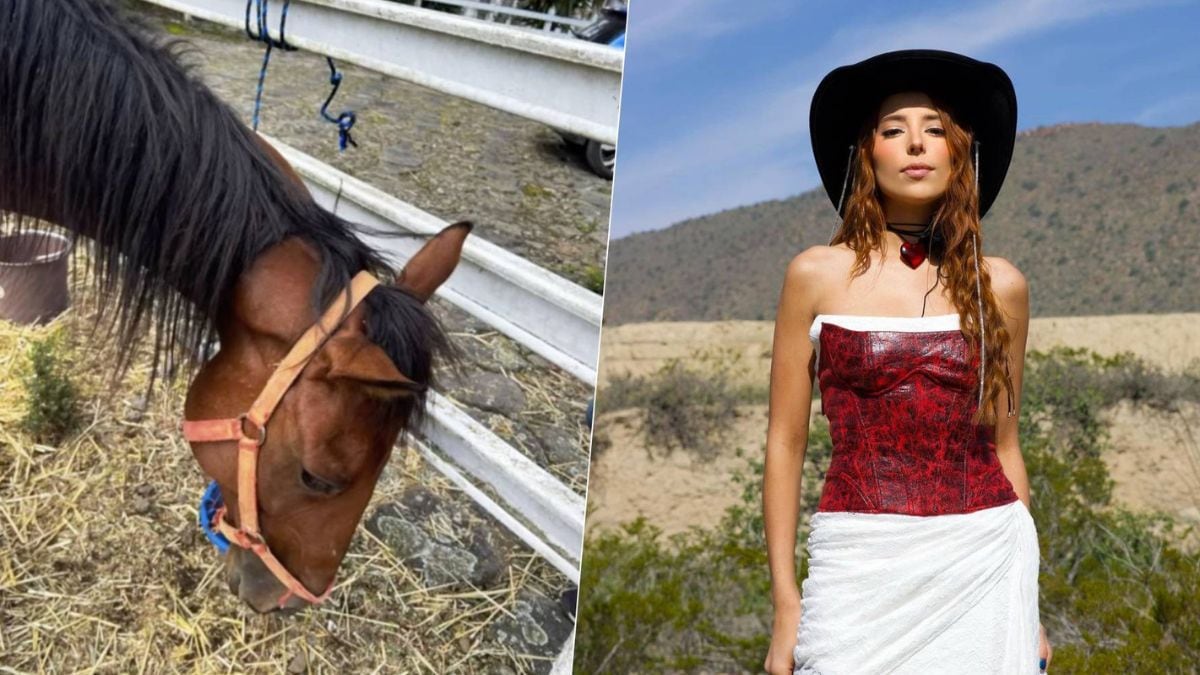 Majo Aguilar, cantante mexicana, busca heredar uno de los caballos de Elena Larrea: ‘Lo prometí' 
