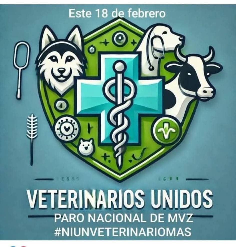 Veterinarios de CDMX participan en el paro nacional programado para este martes 18 de febrero.