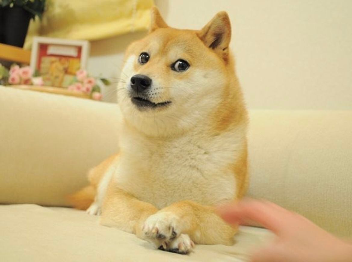 Doge se viralizó por su rostro que ha sido interpretado de varias maneras. (Foto: Instagram / @kabosumama)