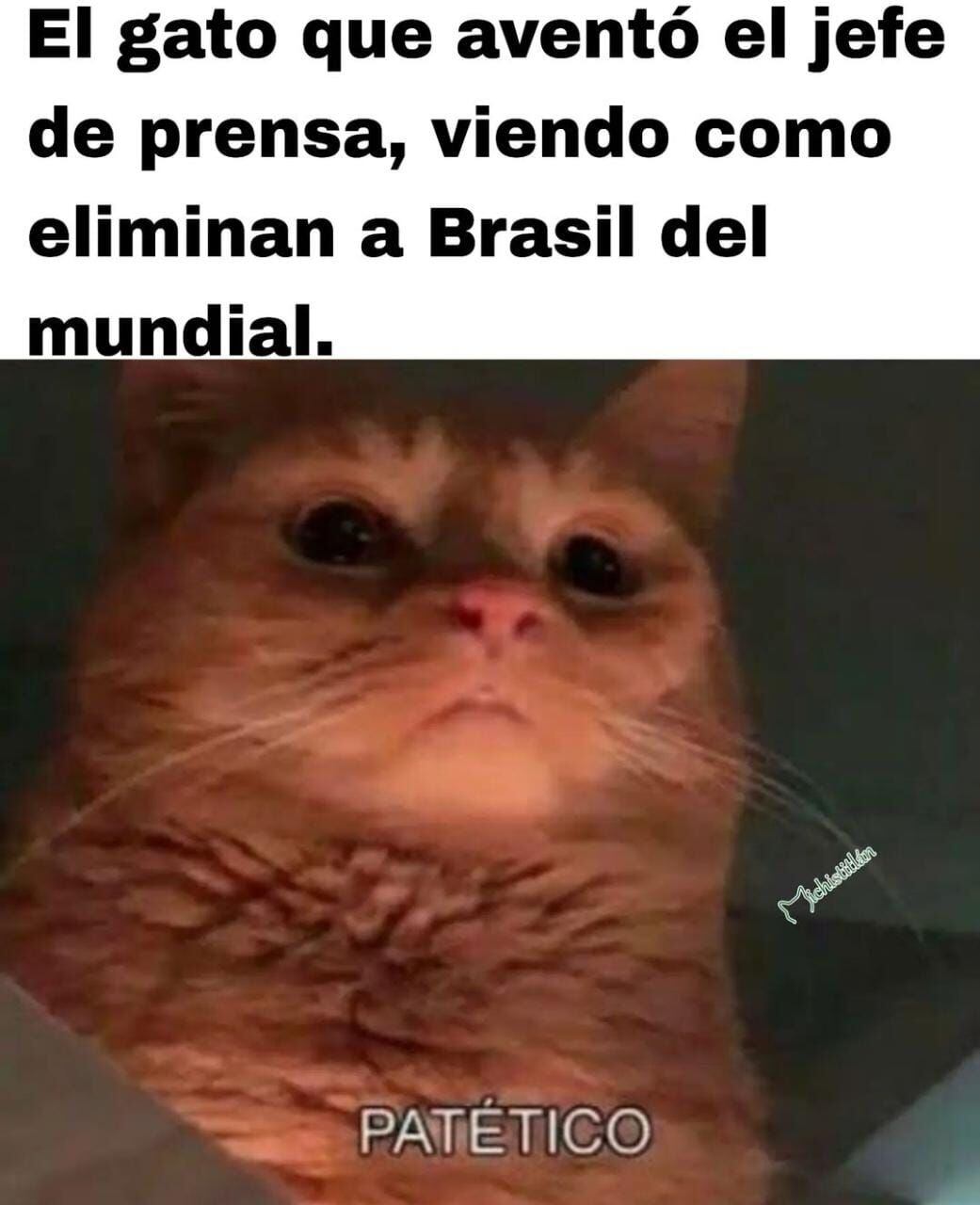 Comenzaron a circular los memes del Brasil vs. Croacia en Qatar 2022 (Foto: Especial)