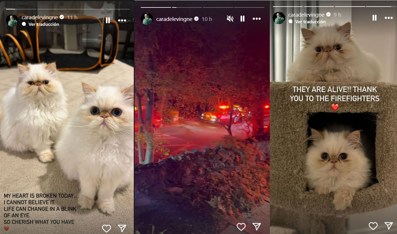 Cara Delevingne compartió imágenes en Instagram sobre el incidente en su casa.