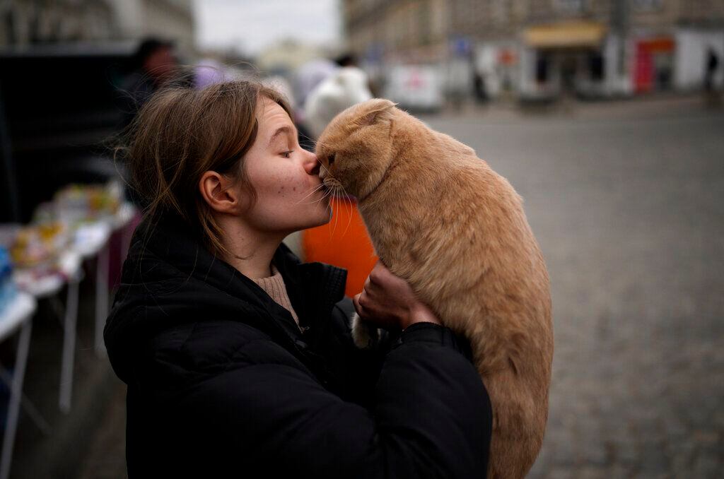 Niña juega con su gato Gabriel después de huir de Ucrania y llegar a la estación de tren en Przemysl, Polonia. 