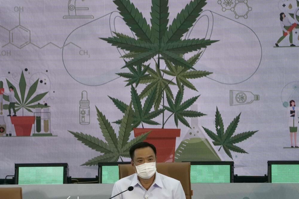 Gobierno de Tailandia se ‘luce’: regalará 1 millón de plantas de marihuana
