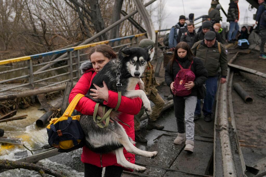 Una mujer carga a su perro mientras cruzan el río Irpín por un puente improvisado para huir de la violencia, en Ucrania. 