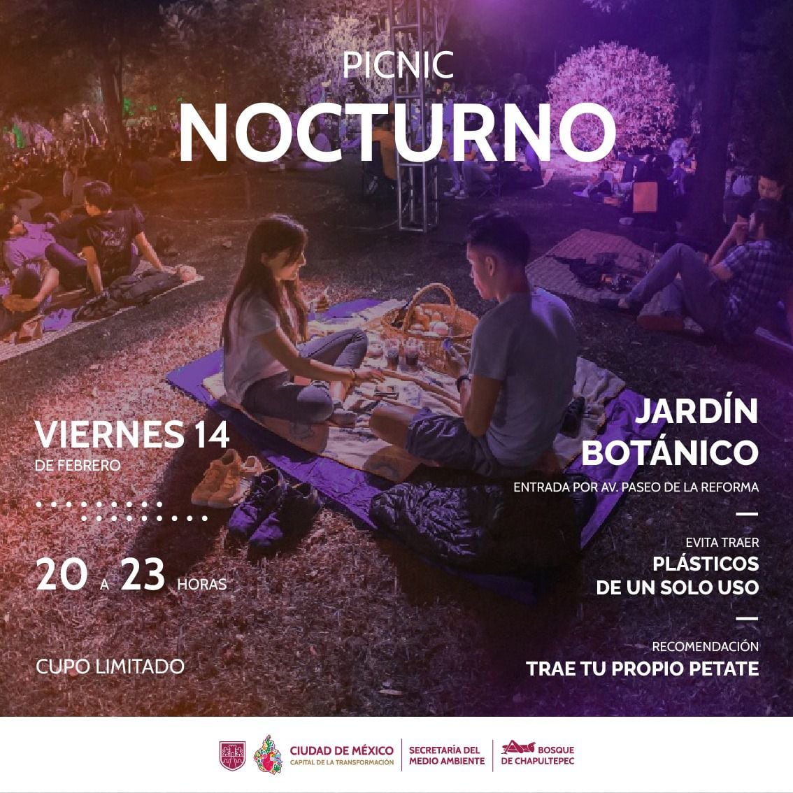 Además de los karaokes gratuitos, habrá un pícnic nocturno en el Bosque de Chapultepec, al que podrás entrar con alimentos. (Foto: Facebook/ Bosque de Chapultepec)