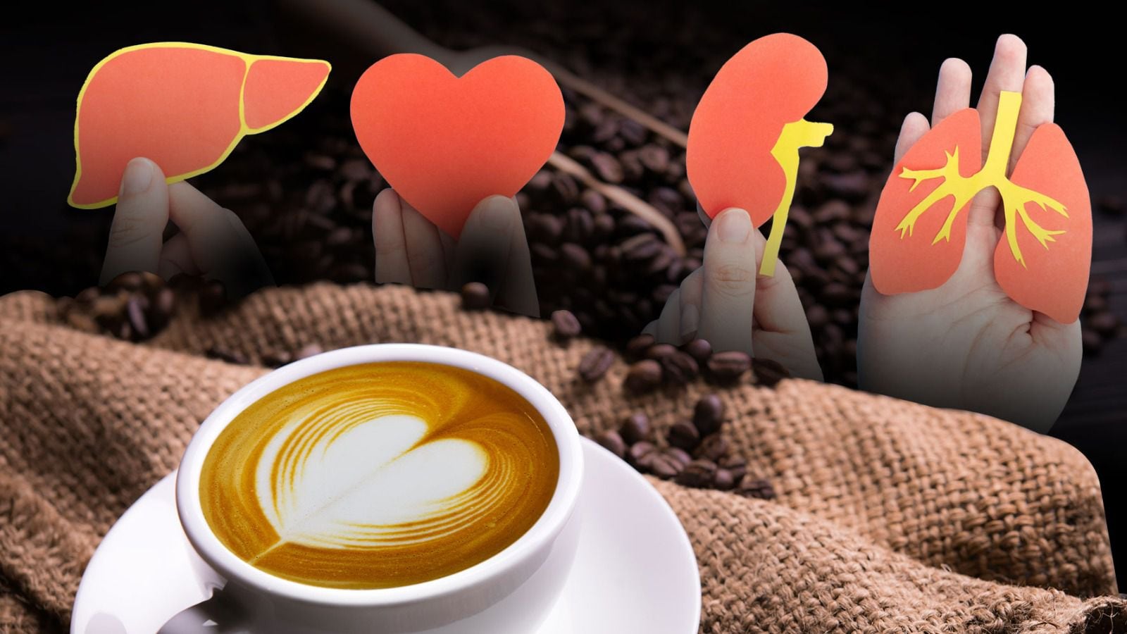 El consumo de café influye en varias partes del cuerpo como hígado, corazón, riñones e hígado. (Fotoarte: Andrea López Trejo | El Financiero).