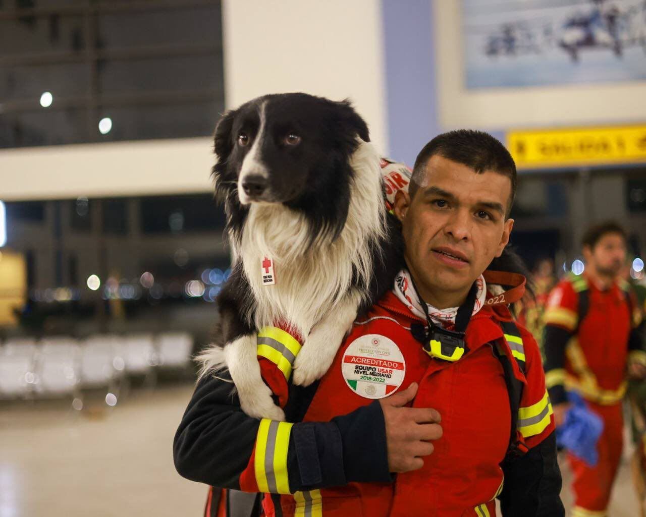 Binomios caninos viajan a Turquía para apoyar en las labores de búsqueda tras el terremoto.