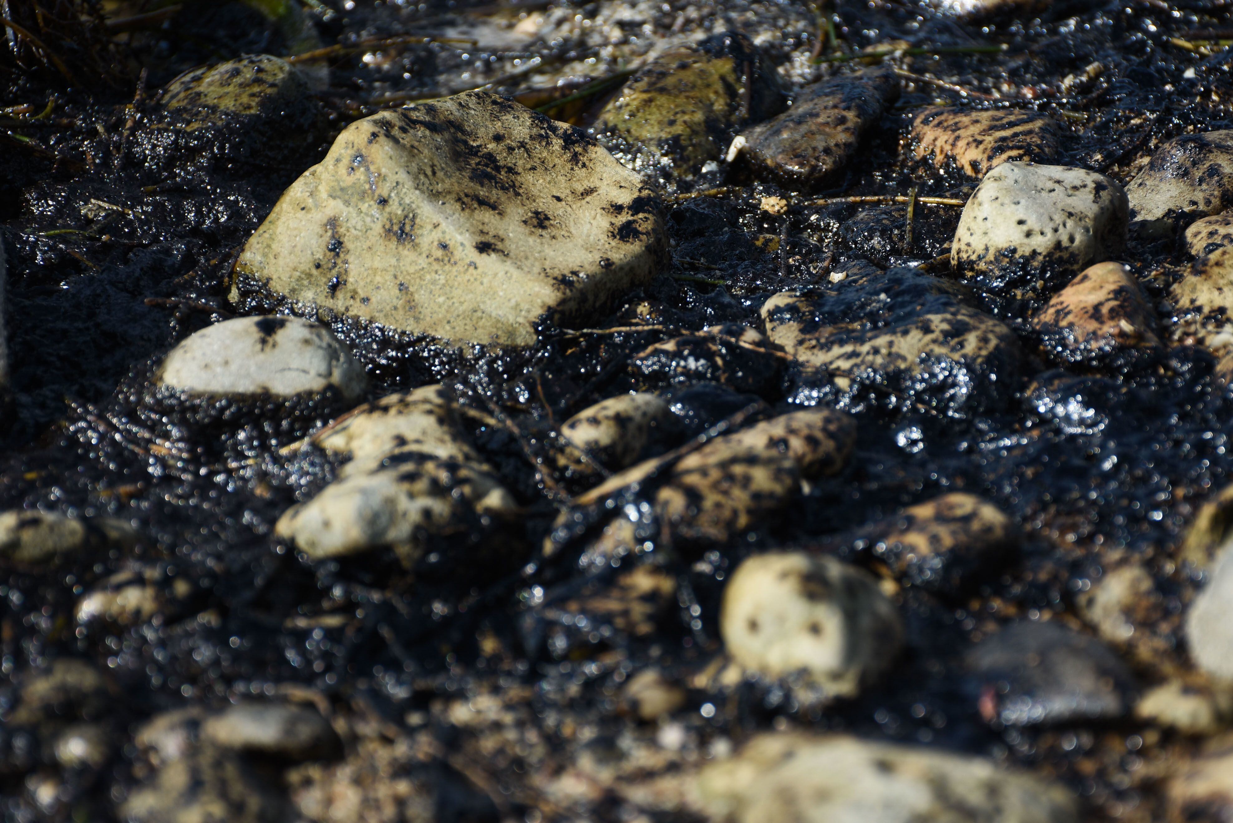 FOTOGALERÍA: Derrame de aceite llega a playas de Campeche... mientras Pemex minimiza el impacto