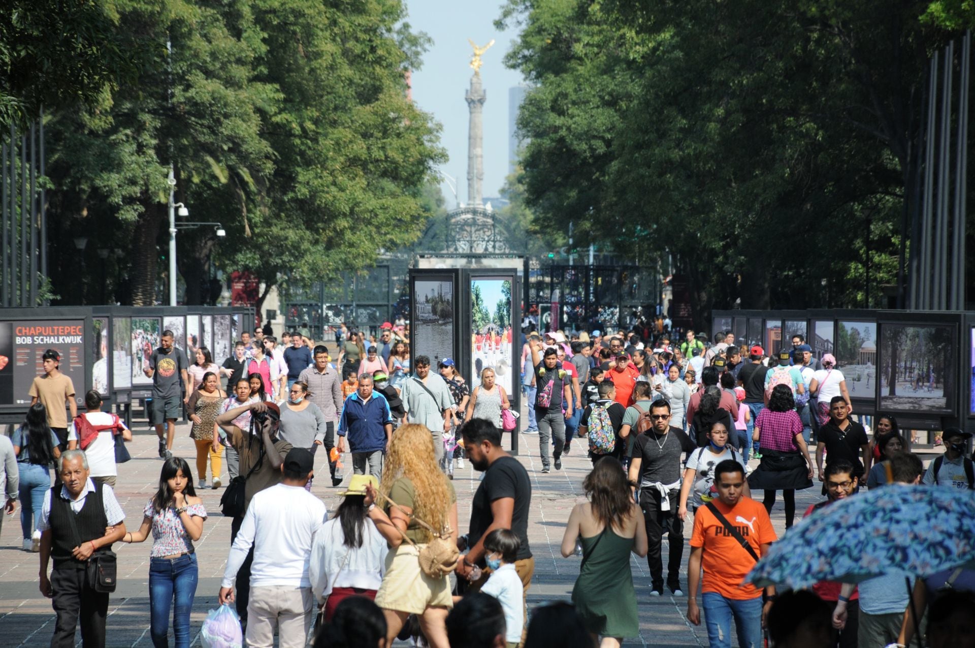 Festival del Bosque de Chapultepec 2024: ¿Cuándo será y cuáles actividades habrá?
